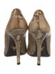 Prada Python Animal Print Pumps