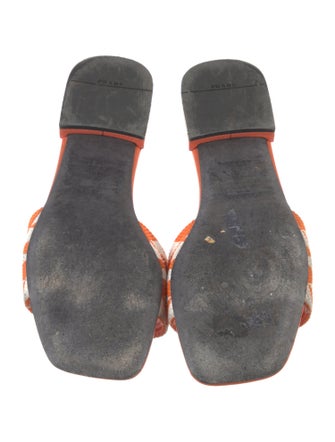 Prada Printed Slides