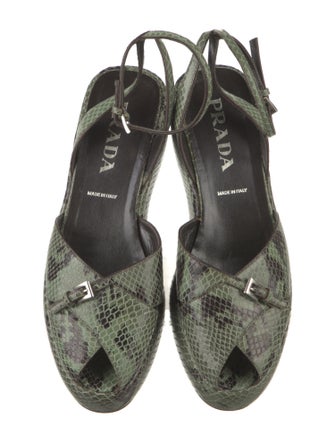 Prada Leather Printed Pumps