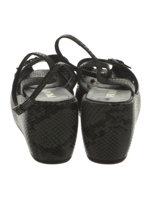 Prada Leather Printed Pumps