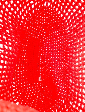 Prada Raffia Grass Hobo