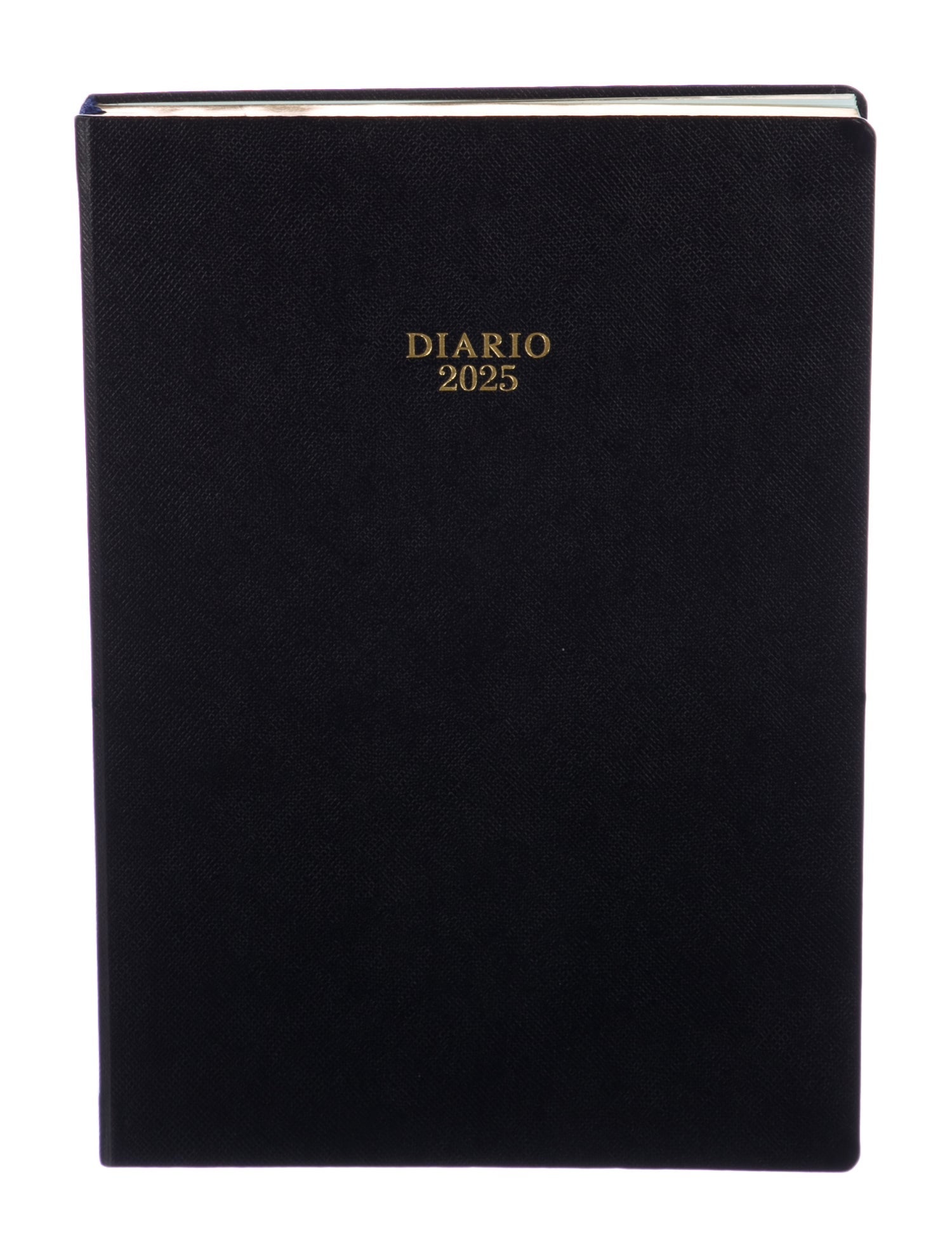 Prada 2025 Diary