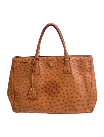 Prada Struzzo Top Handle Bag