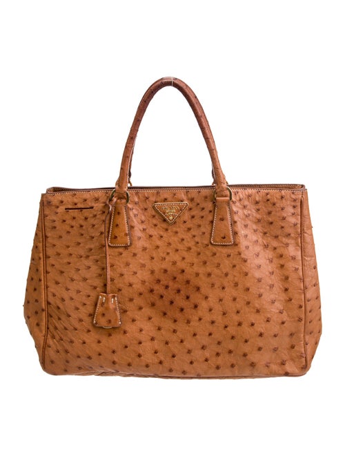 Prada Struzzo Top Handle Bag