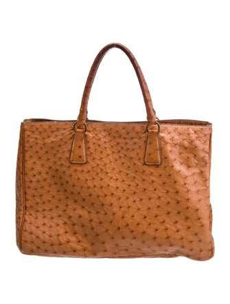 Prada Struzzo Top Handle Bag