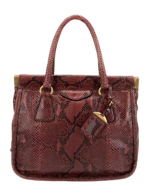 Prada Pitone Shoulder Bag