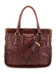 Prada Pitone Shoulder Bag