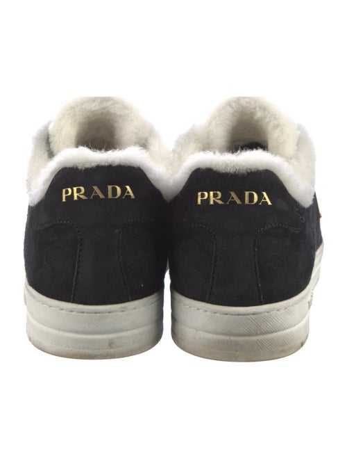 Prada Suede Sneakers
