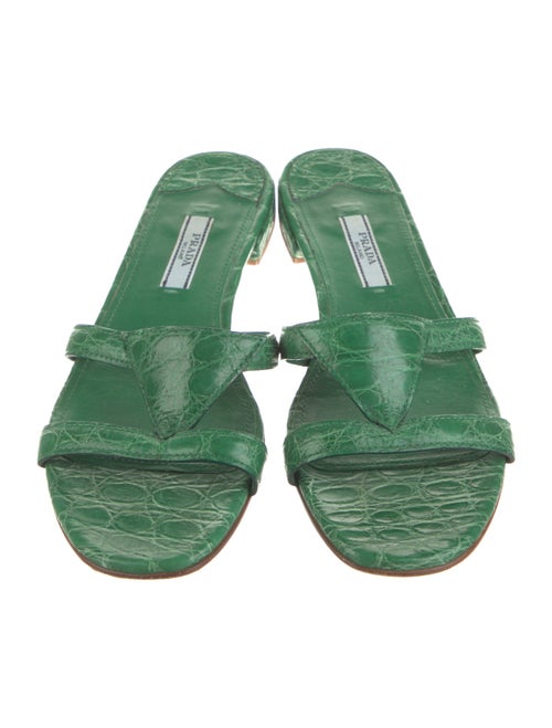 Prada Crocodile Slides