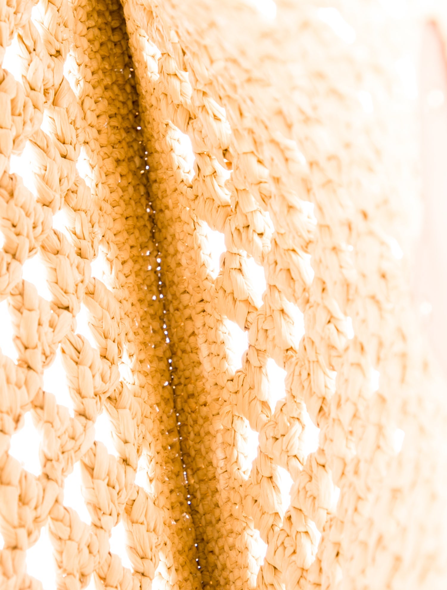 Prada Raffia Grass Tote