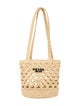 Prada Raffia Grass Evening Bag