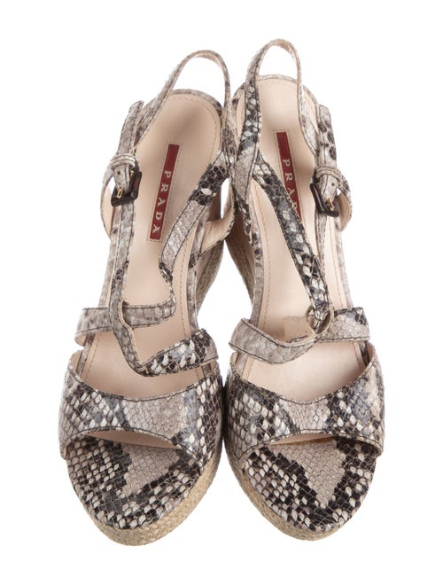 Prada Snakeskin Animal Print Espadrilles