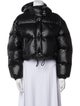 Prada 2023 Re-Nylon Down Jacket