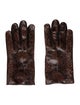 Prada Python Gloves