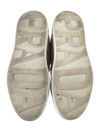 Prada Canvas Printed Sneakers