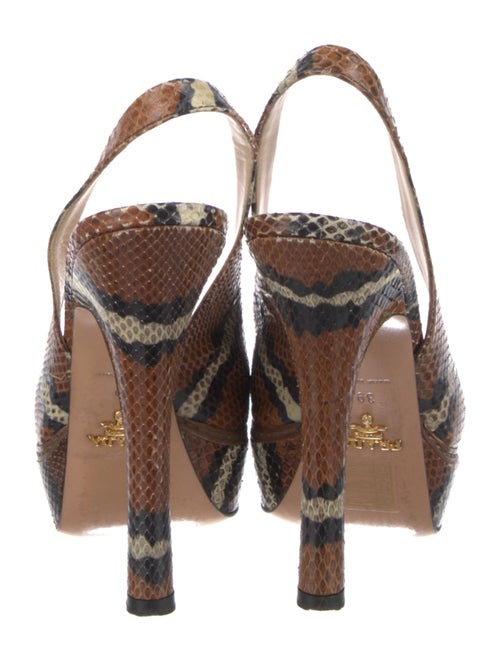 Prada Snakeskin Animal Print Slingback Pumps
