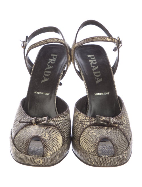 Prada Lizard Animal Print Slingback Pumps