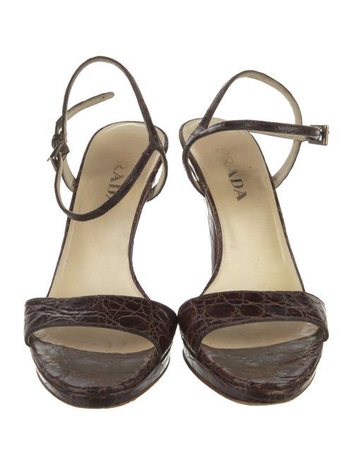 Prada Crocodile Sandals