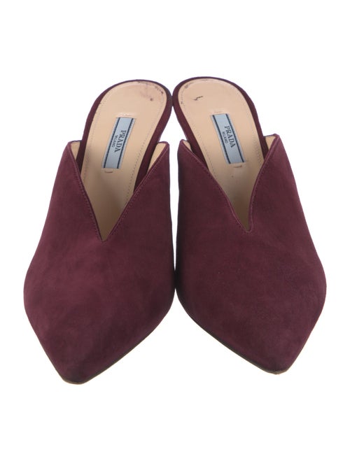 Prada Suede Mules