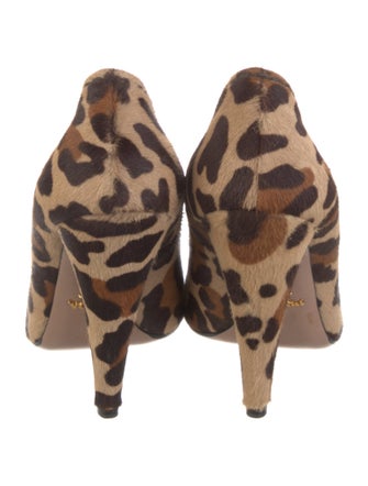 Prada Ponyhair Animal Print Pumps