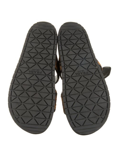 Prada Ponyhair Animal Print Slides