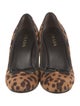 Prada Ponyhair Animal Print Pumps