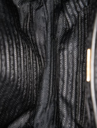 Prada Soft Calf Leather Catena