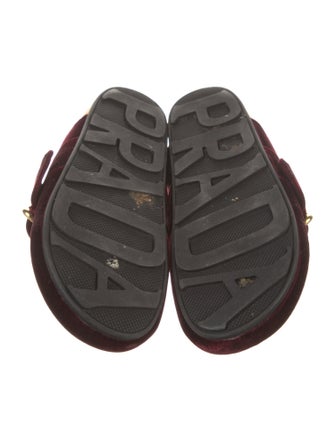 Prada Velvet Mules