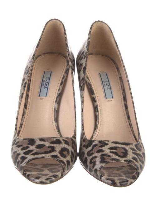 Prada Leather Animal Print Pumps