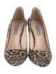 Prada Leather Animal Print Pumps