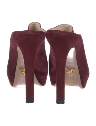 Prada Suede Mules