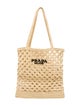 Prada Raffia Grass Evening Bag