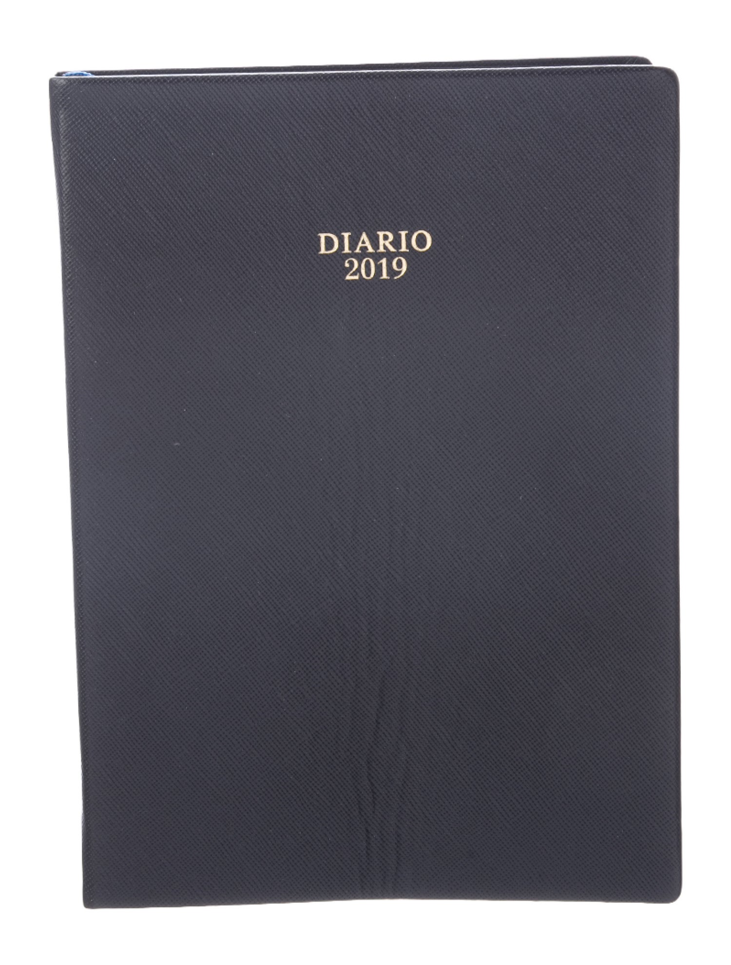Prada 2019 Diary