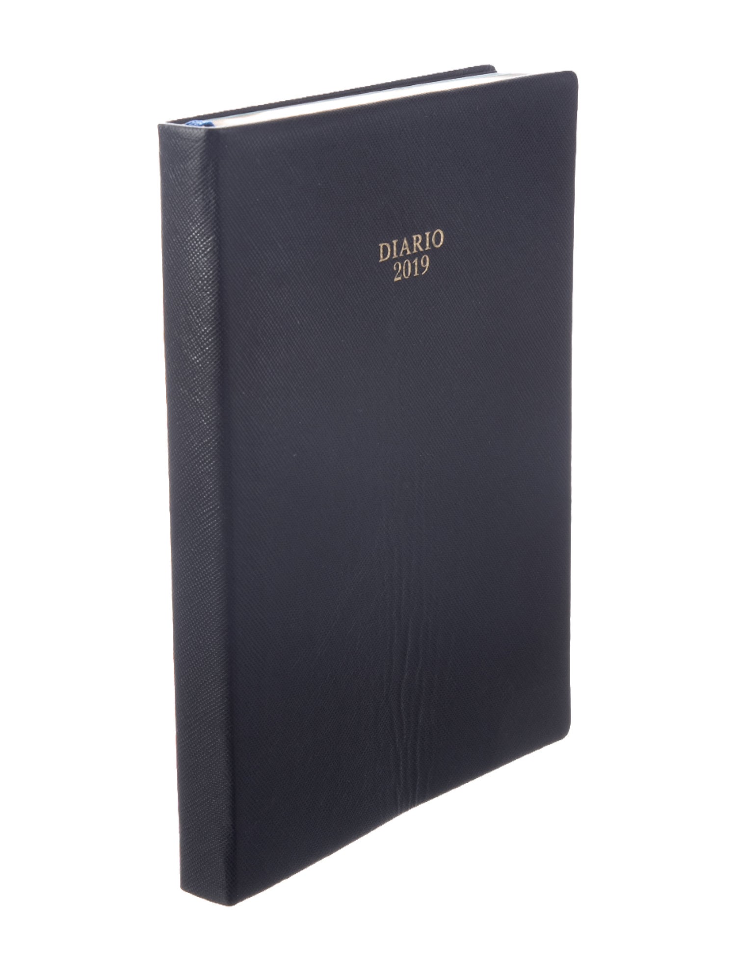 Prada 2019 Diary