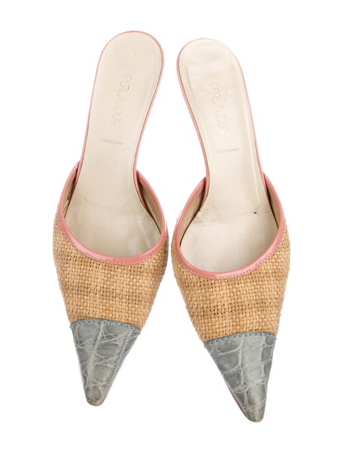 Prada Pointed-Toe Raffia Mules