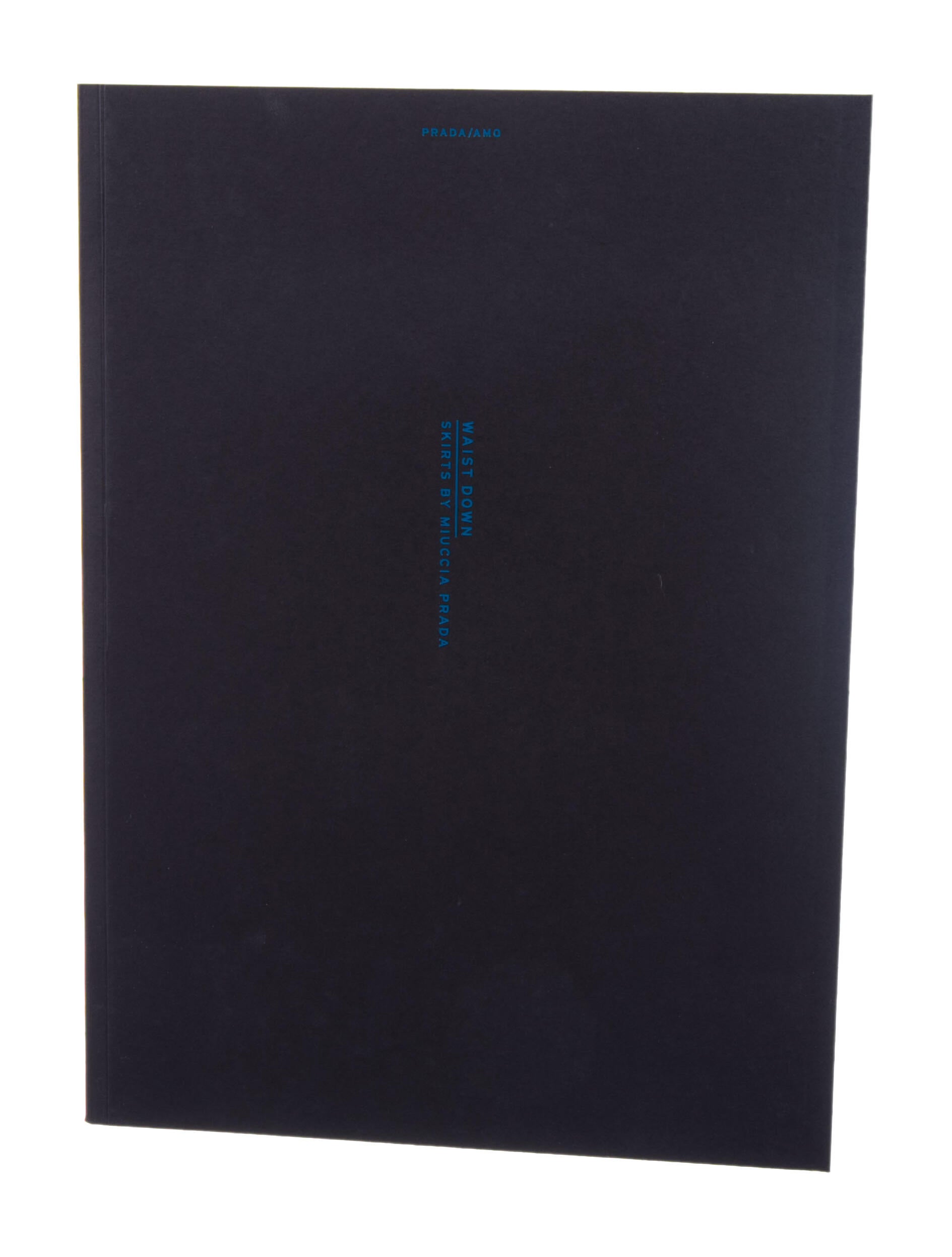 WAIST DOWN：SKIRTS BY MIUCCIA PRADA Prada Waist Down — 2x4