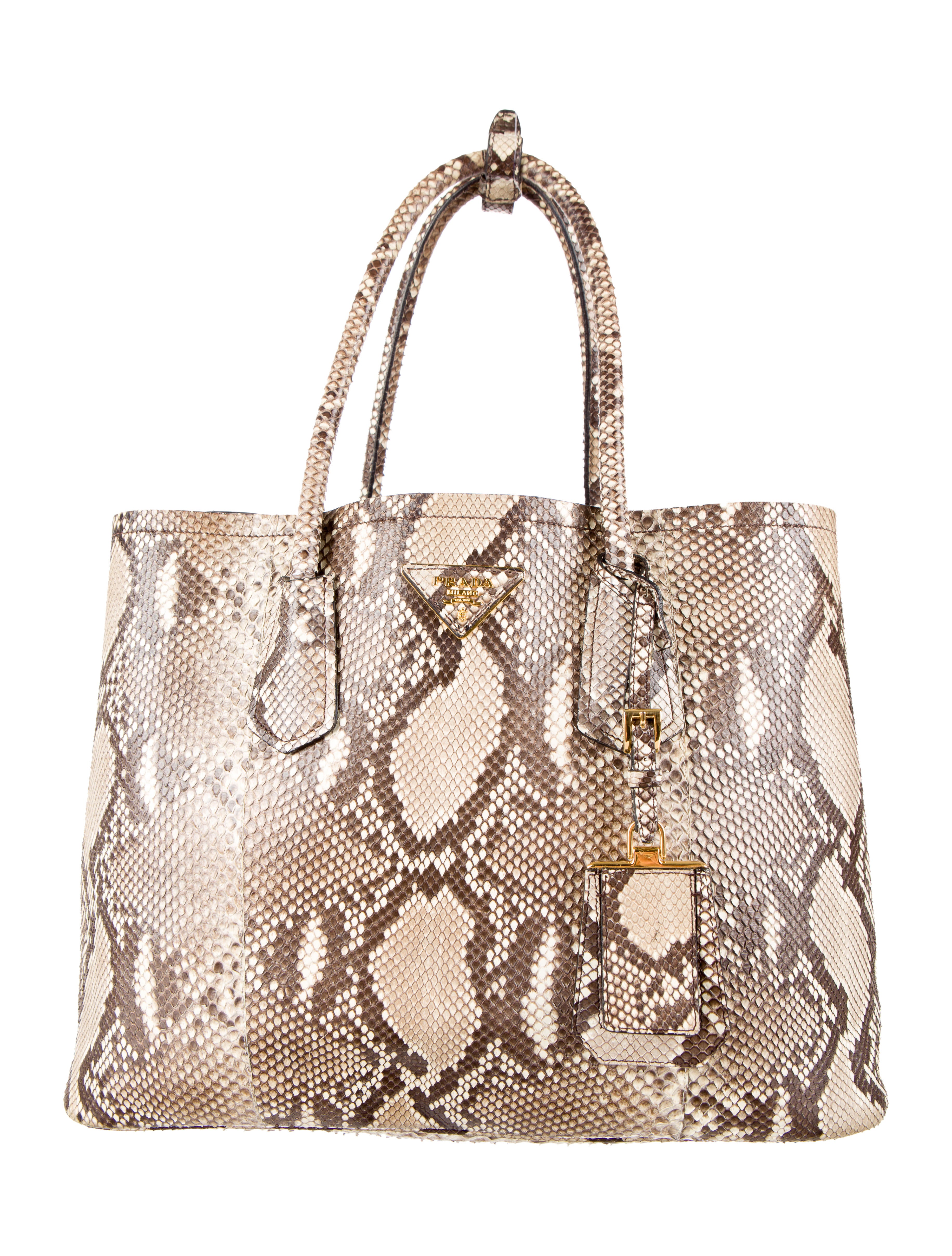 Prada Python Double Bag