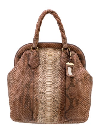 Prada Pitone Frame Bag