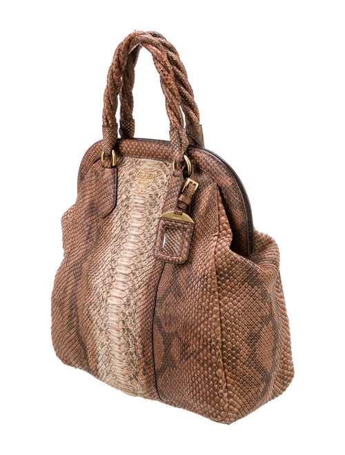 Prada Pitone Frame Bag