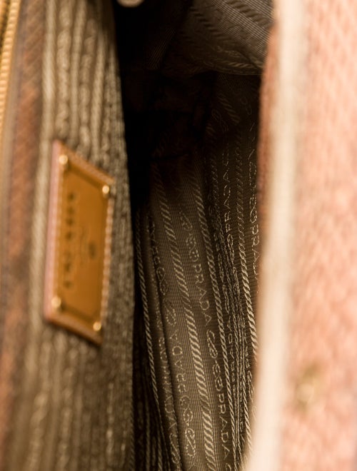 Prada Pitone Frame Bag