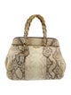 Prada Python Tote