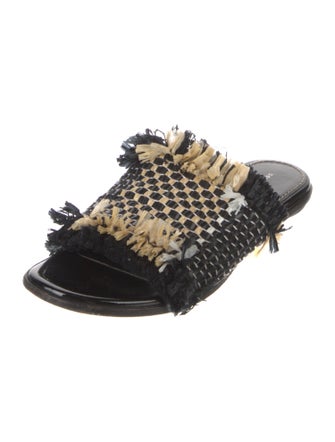 Proenza Schouler Straw Animal Print Slides