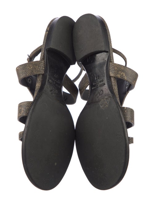 Proenza Schouler Snakeskin Gladiator Sandals