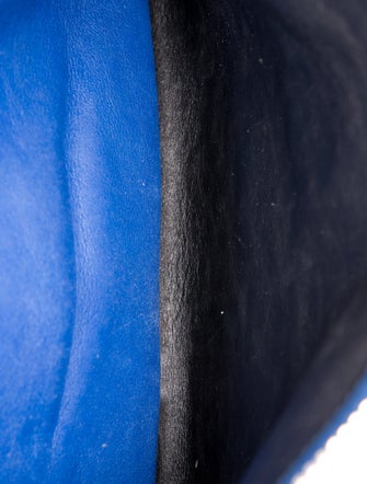 Proenza Schouler Leather Minaudière