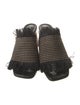 Proenza Schouler Straw Fringe Trim Accent Slides