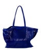 Proenza Schouler Mesh Tote