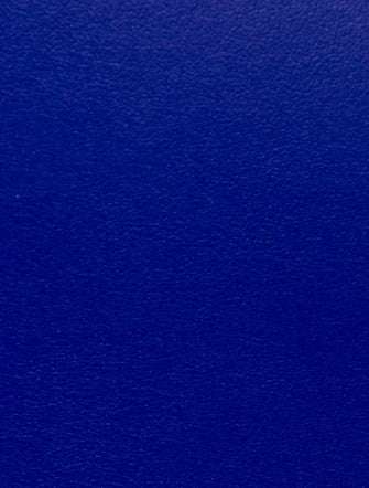 Proenza Schouler Mesh Tote