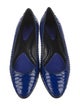 Proenza Schouler Snakeskin Animal Print Ballet Flats