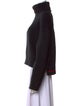 Proenza Schouler Turtleneck Sweater