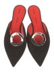 Proenza Schouler Suede Leather Trim Embellishment Mules